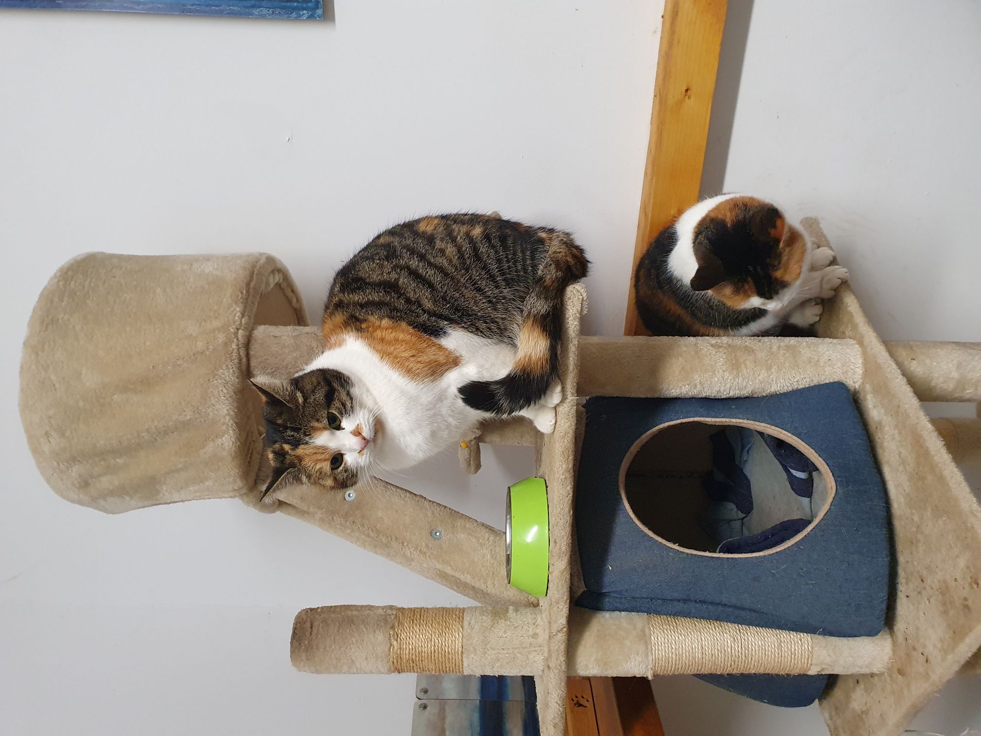 2023 12 Dezember 634